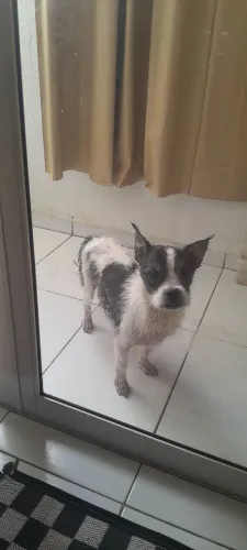 Doação 