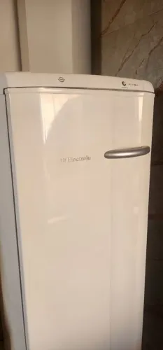 Freezer Vertical Electrolux FE 22