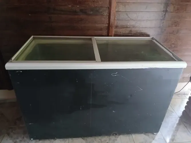 Freezer horizontal