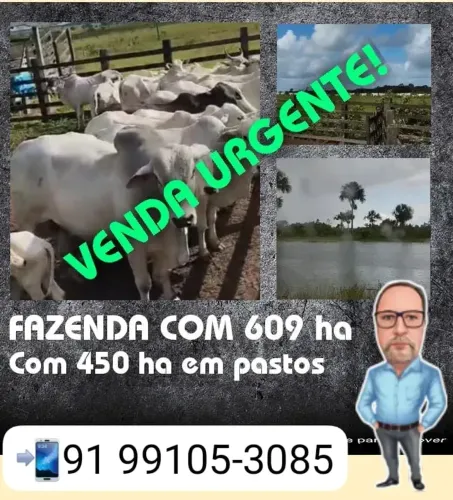 Fazenda de pecuária para venda com 609 hectares em Bragança.PA