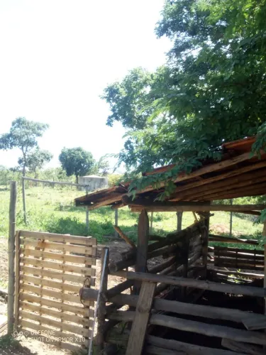 Sítio próximo a Bocaiúva mg