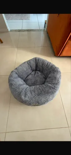 Cama de gato