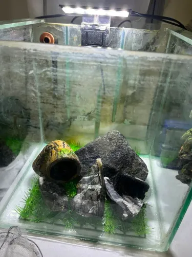 Aquario 25x25x25 com sump trazeiro