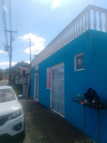 Matinhos pinturas