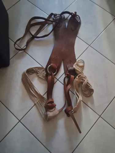 Hipismo