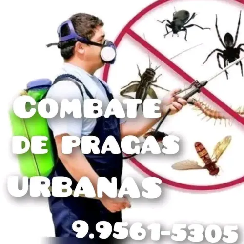 DEDETIZAÇÃO GERAL E PREVENTIVA
