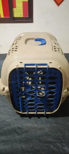 Caixa para pets