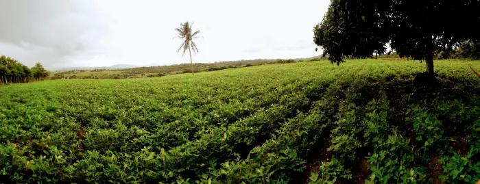 Sítio 24 hectares em Moita Bonita, Povoado Serrinha