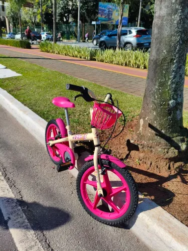 Bicicleta Infantil Menina