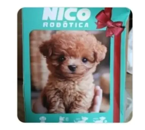 Cachorro de pelúcia à pilha com vários movimentos. Poodle abricó. Lindo