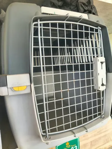 Caixa de Transporte Grande para Pet - Guliver 4