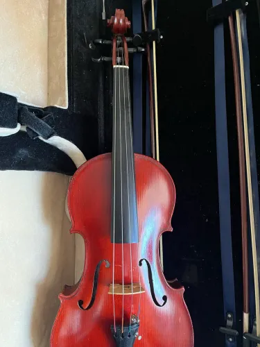 Viola de Arco 
