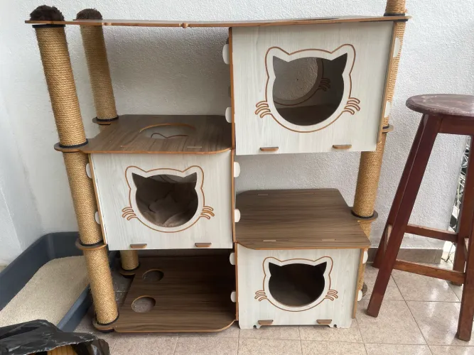 Móvel para gatos - Gatificação