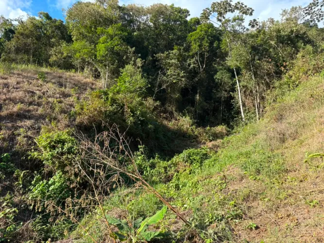 CHÁCARA EM SANTA LEOPOLDINA