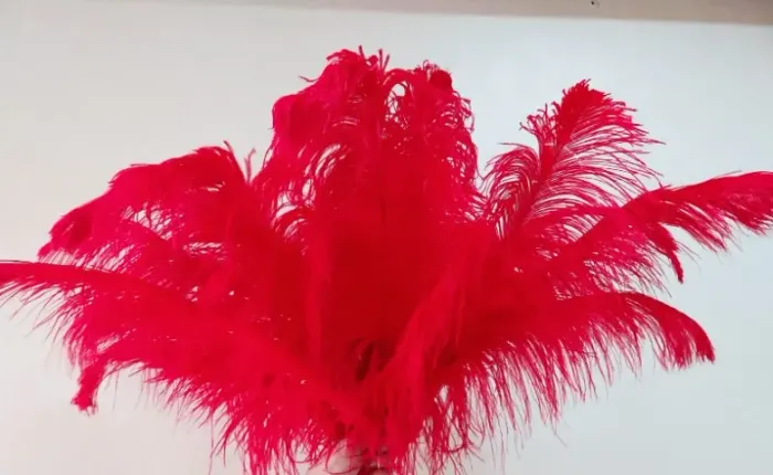 Plumas choronas vermelhas