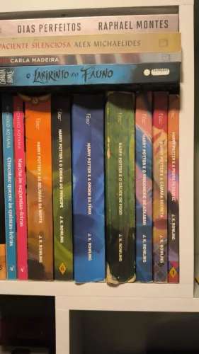 Livros Harry Potter