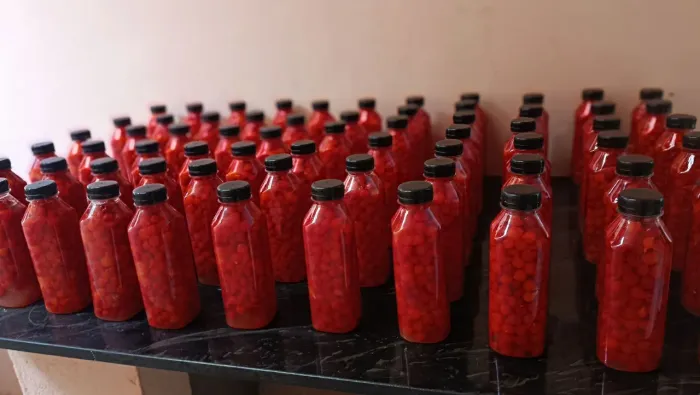 Pimenta Biquinho Extra