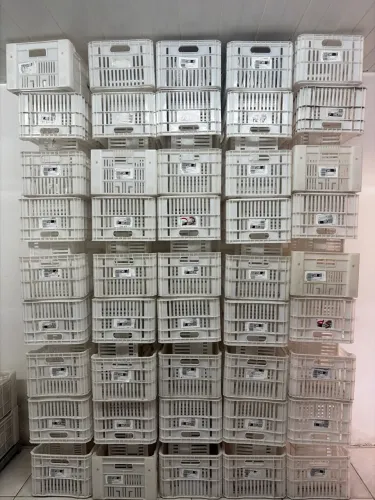Caixa organizadora tipo feira