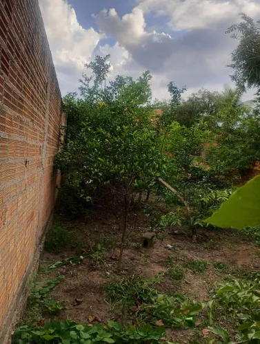 Loja com terreno grande 