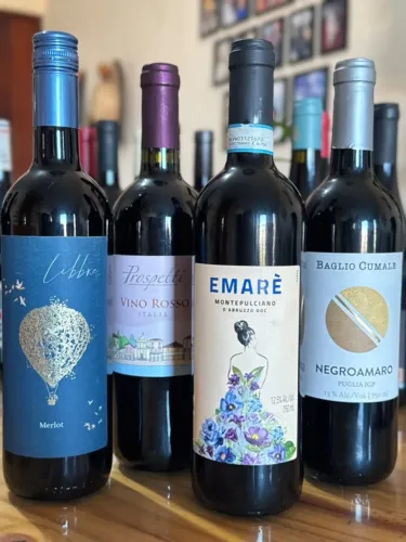 Combo com 4 Vinhos Italianos Tintos | Lote Completo