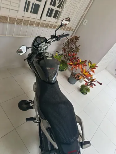 CB 300 2011 