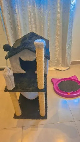 Casinha de Gatos