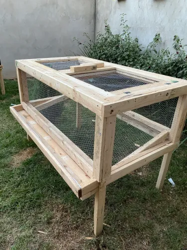 Viveiro para Codornas em Madeira com Coletor de Ovos
