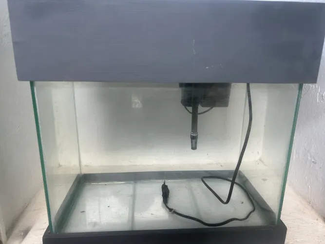 Kit 3 aquarios com tampa, filtro e lanterna