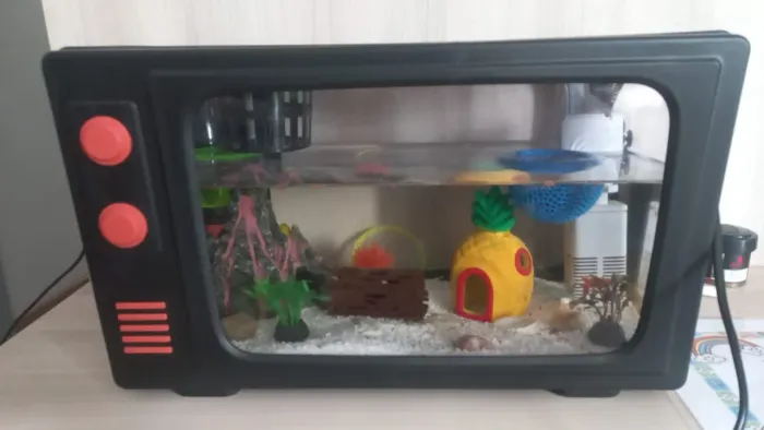 Aquário Retrô estilo TV completo 