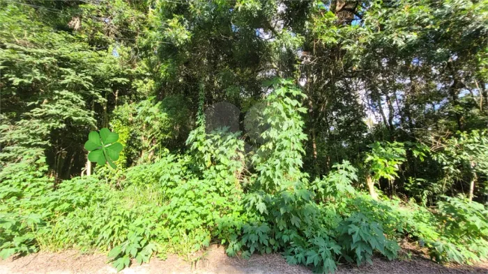 Loteamento à venda em Canjica (terra preta) - SP