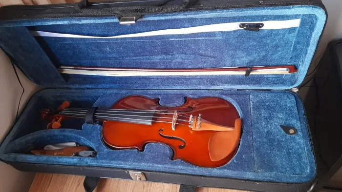 Violino Eagle VE441 4/4 (Com espaleira)