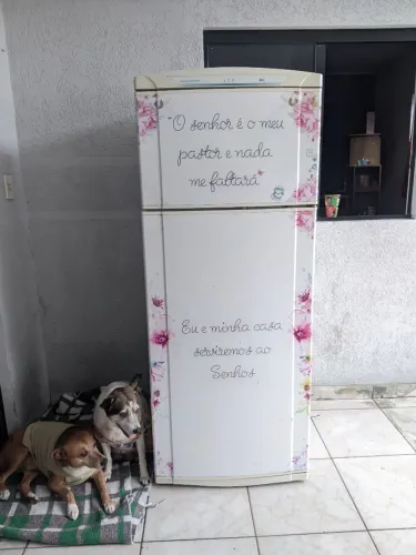 Geladeira Consul Duplex 420 Litros