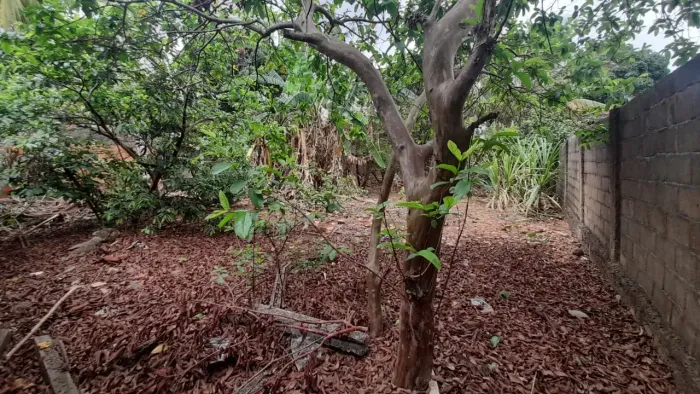 Lote no Bairro de Fátima 360m