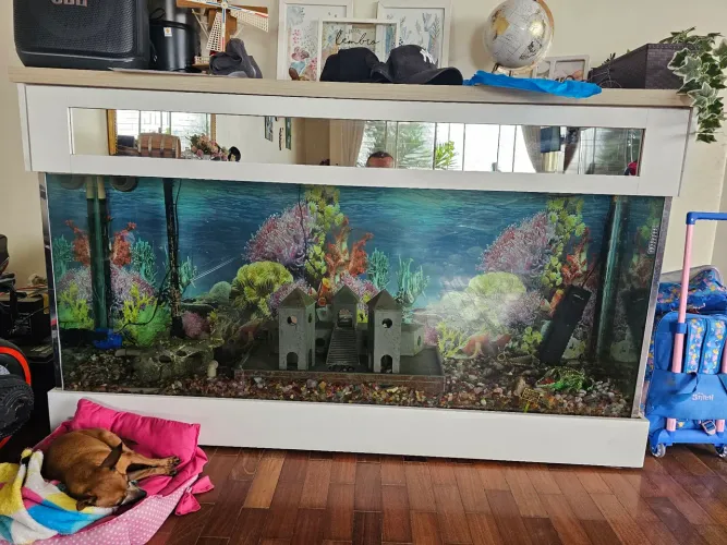 Aquário 1.70 x 70 x 40 + Móvel + Sump 100 x 50 x 40