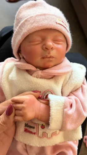 Bebê Reborn