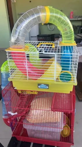 Gaiola hamster luxo SAO DUAS