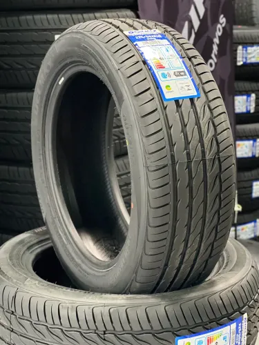 PNEUS ARO 18 - 225/55R18 DELMAX PERFORM PRO