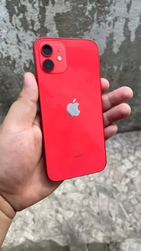 iPhone 12