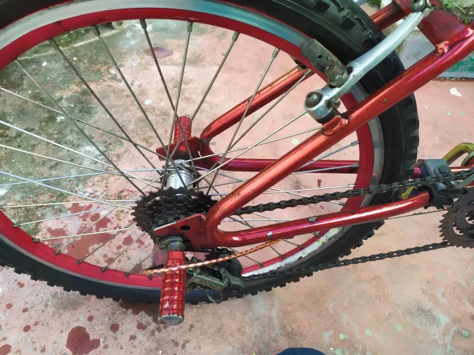 Bicicleta reduzida com raios inoxidável 