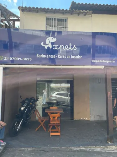 CURSO DE BANHO E TOSA NA TAQUARA
