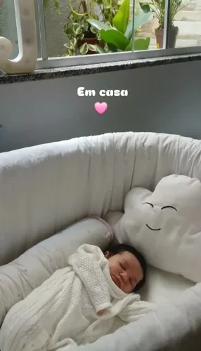 Moisés que funciona como berço (kit básico com capa)