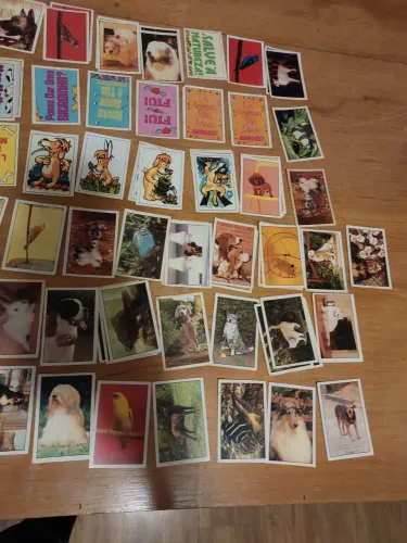 71 Figurinhas pets o livro ilustrada dos bichinhos de estimação 1989