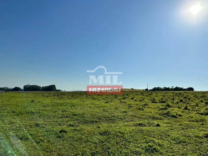 Chácara 5,07 alqueires ( 24,58 hectares ) Anápolis-GO Bica D água!!