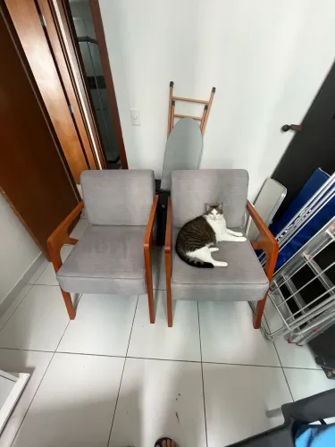 Poltronas de apoio -Muito bem conservadas