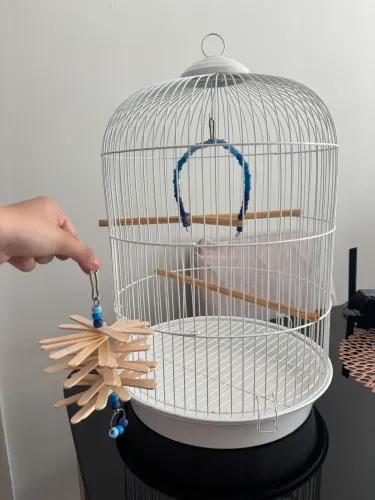 Gaiola Mônaco para pássaros