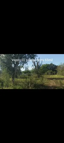 Vendo 02 tarefas terra 65 mil 