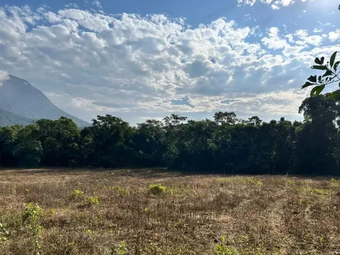 Terreno 25 mil m2, localizado lateral da Estrada Mildau