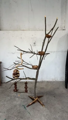Galhos para pássaros