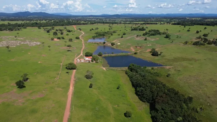 Fazenda de 197 alqueires em Novo Brasil-GO