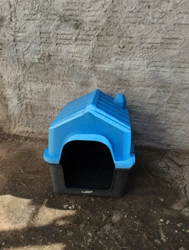 Casinha para cachorro 